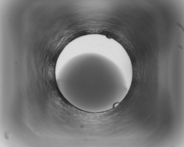 X0000102470035200808291615