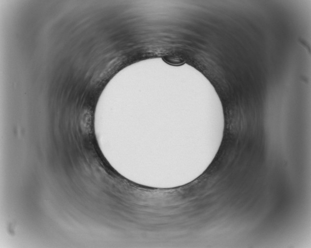 X0000102470036200808291615