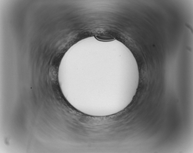 X0000102470037200808291615