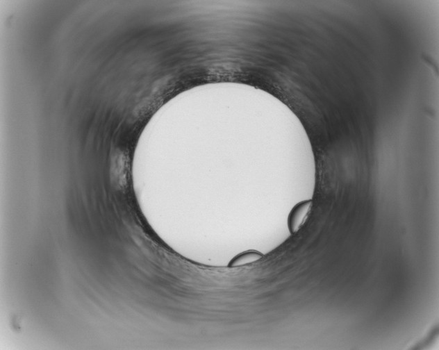 X0000102470038200808291615