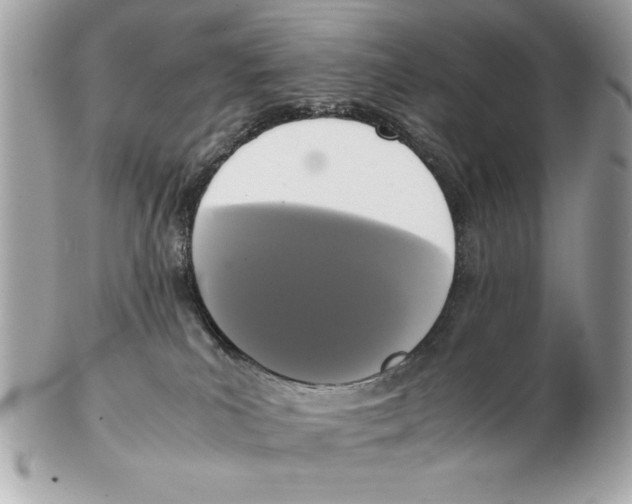 X0000102470039200808291615