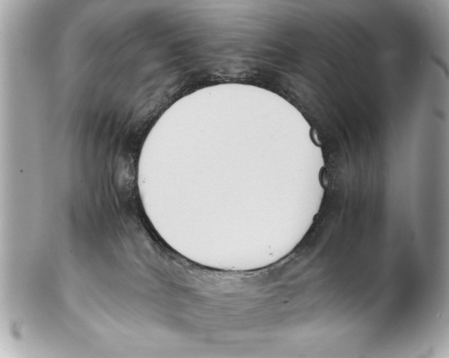 X0000102470040200808291615