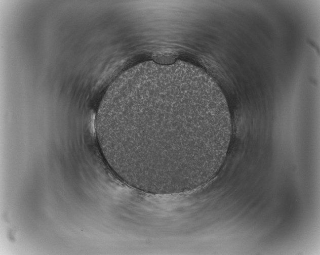 X0000102470041200808291615