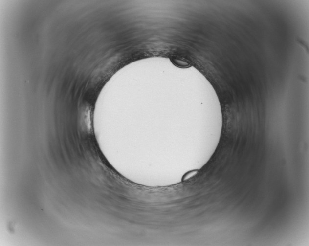 X0000102470042200808291615