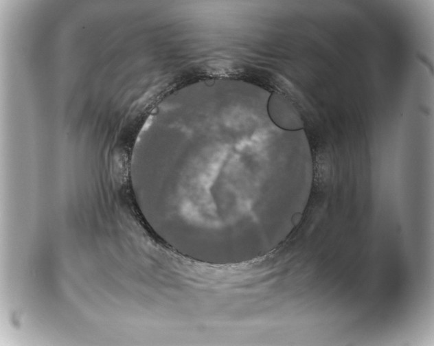 X0000102470043200808291615