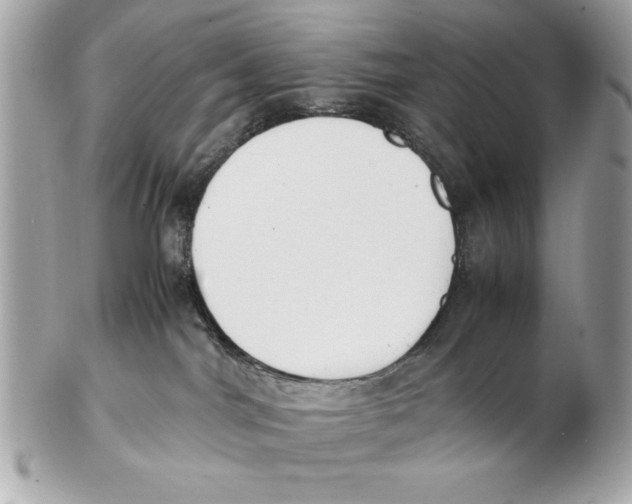 X0000102470044200808291615