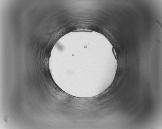 X0000102470045200808291615