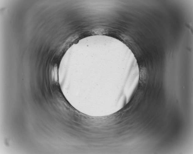 X0000102470046200808291615