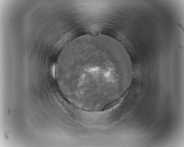 X0000102470047200808291614