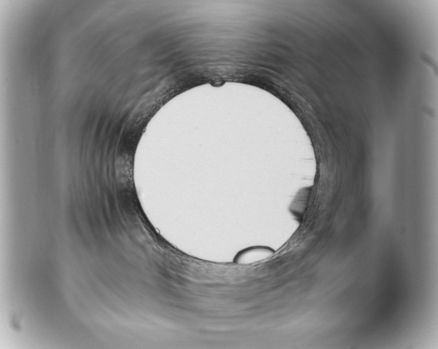 X0000102470048200808291614