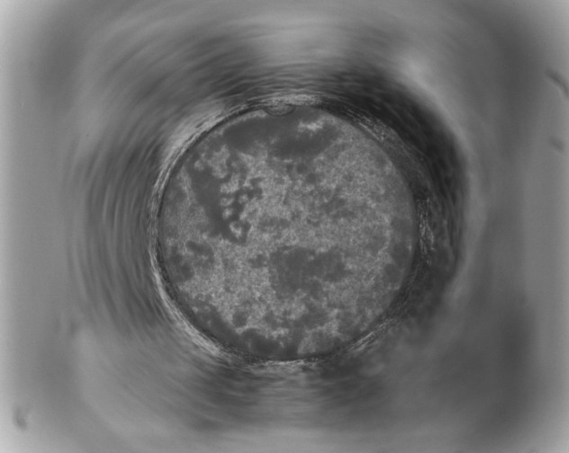 X0000102470049200808291614