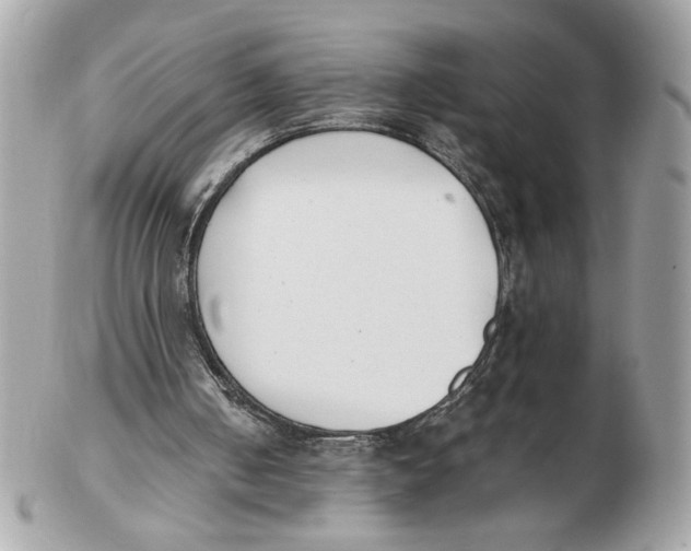 X0000102470050200808291614