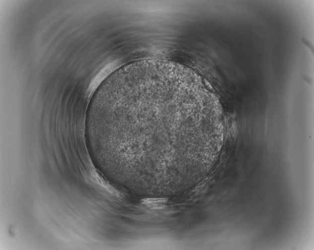 X0000102470051200808291614