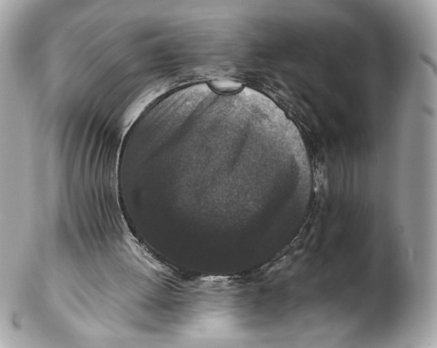 X0000102470052200808291614