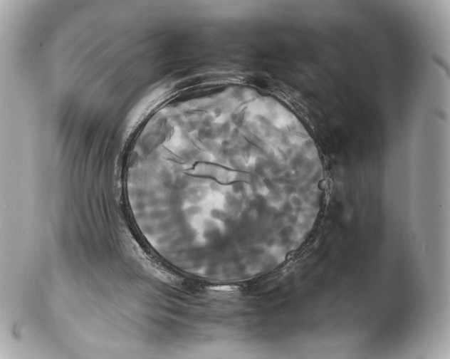 X0000102470053200808291614