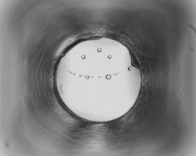 X0000102470054200808291614