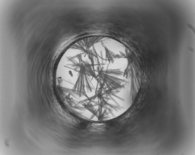 X0000102470055200808291614
