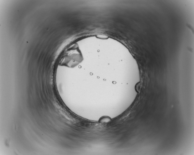 X0000102470056200808291614