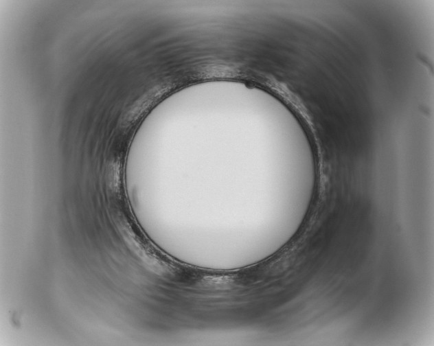 X0000102470057200808291614