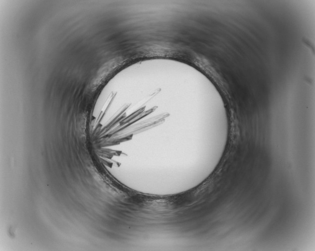 X0000102470058200808291614