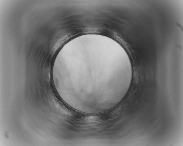 X0000102470059200808291614