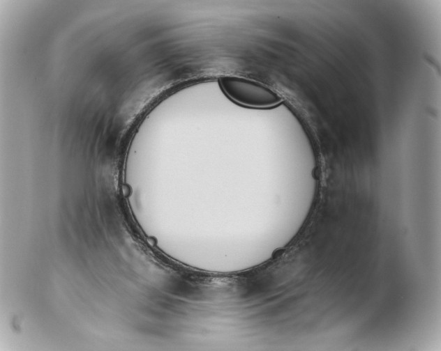 X0000102470060200808291614