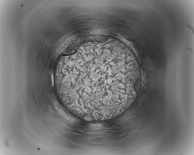 X0000102470061200808291614