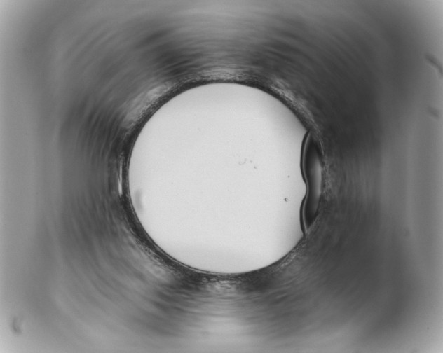 X0000102470062200808291614