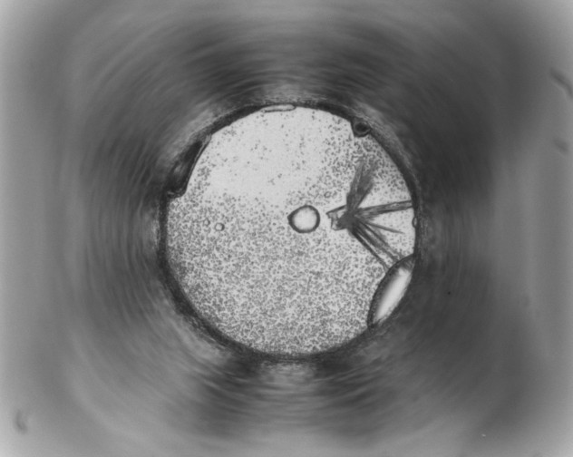 X0000102470063200808291614