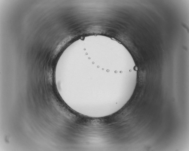 X0000102470064200808291614