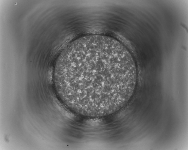 X0000102470065200808291614