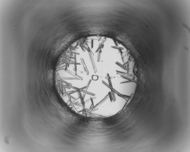 X0000102470066200808291614