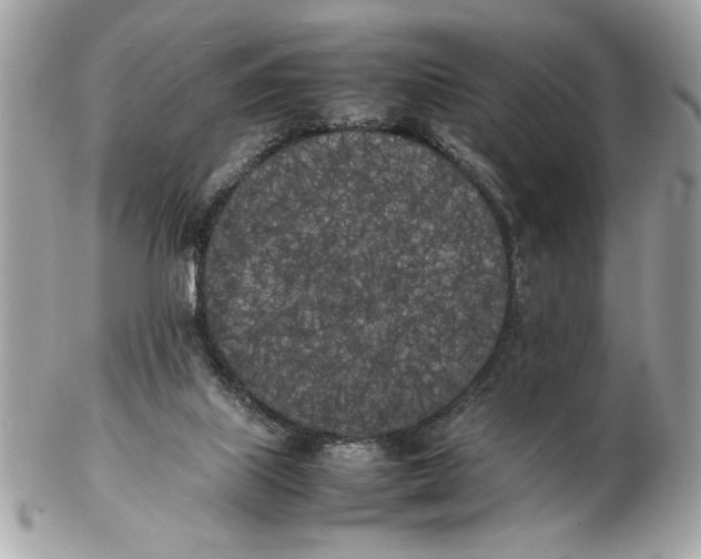 X0000102470067200808291614