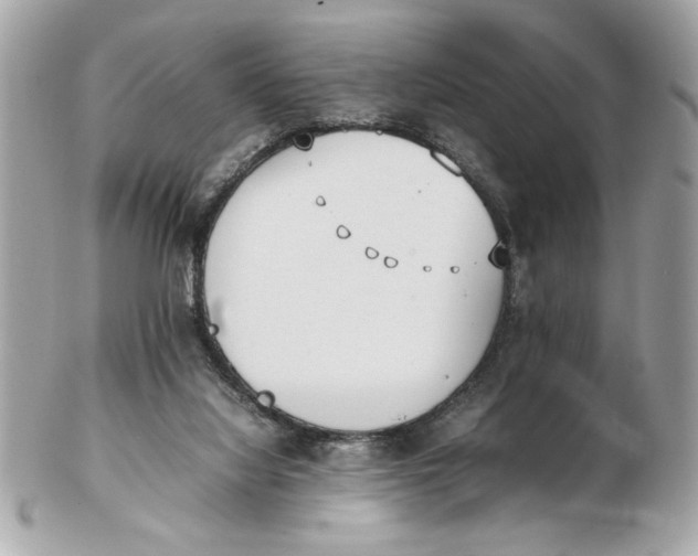 X0000102470068200808291614