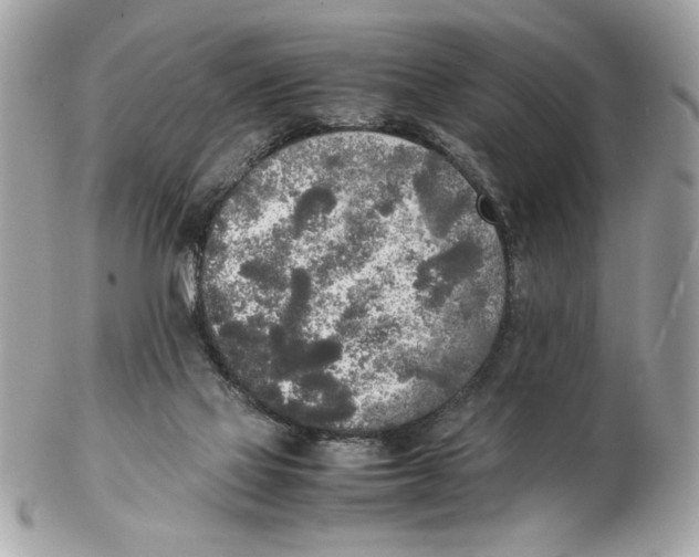 X0000102470069200808291614