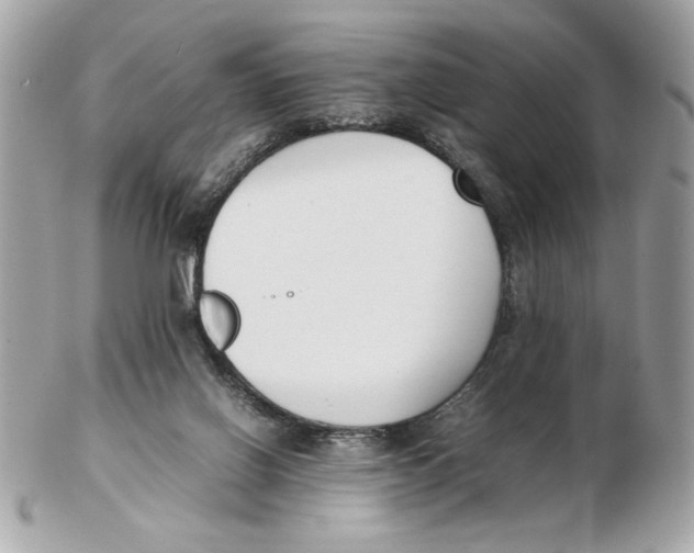 X0000102470070200808291614