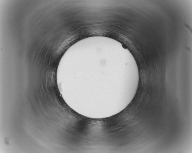 X0000102470071200808291614