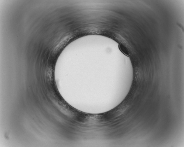 X0000102470072200808291614
