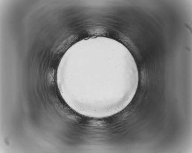 X0000102470073200808291614