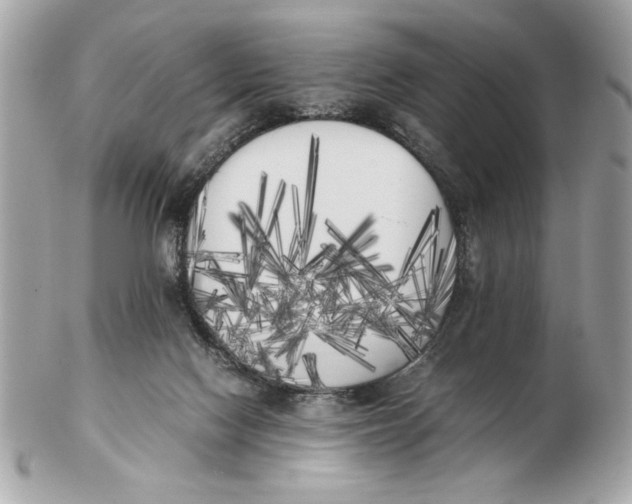 X0000102470074200808291614