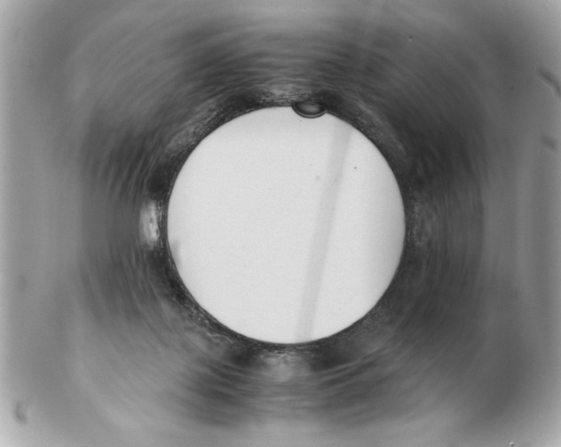 X0000102470075200808291614