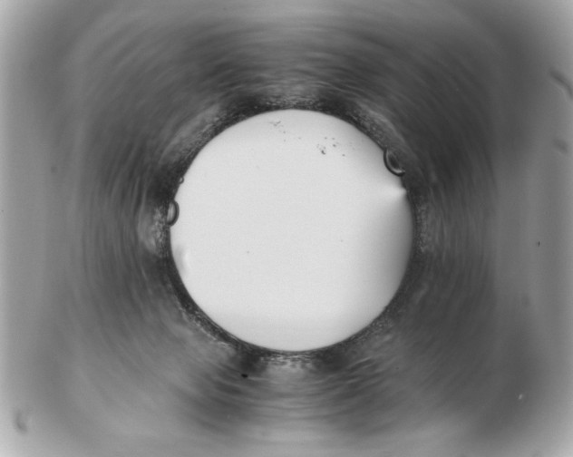 X0000102470077200808291614
