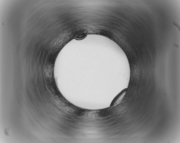 X0000102470078200808291614