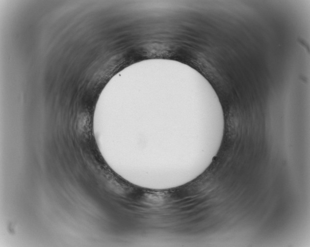 X0000102470079200808291614