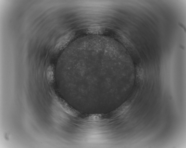 X0000102470080200808291614