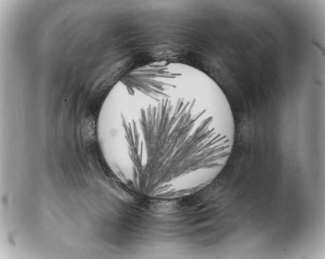 X0000102470081200808291614