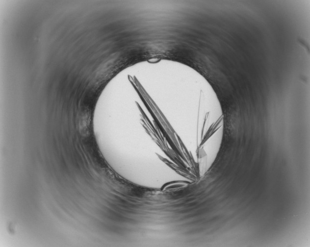 X0000102470082200808291614