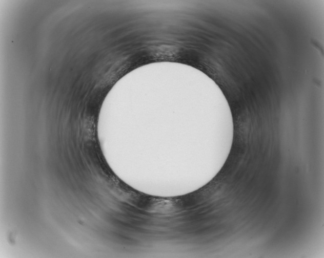 X0000102470083200808291614