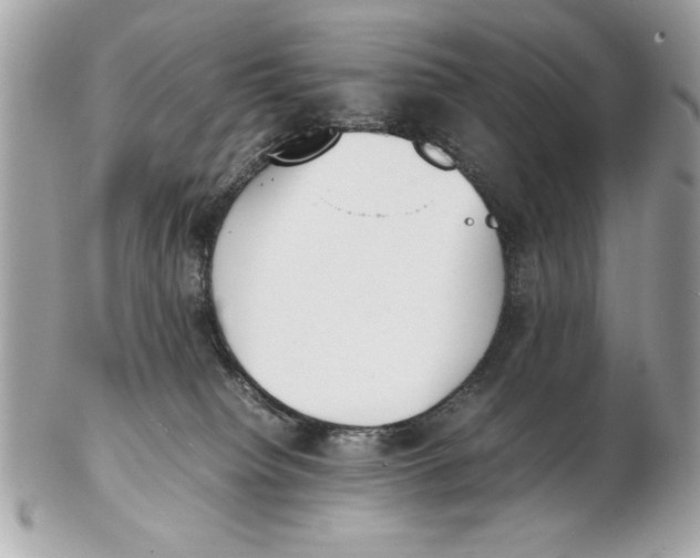 X0000102470084200808291614