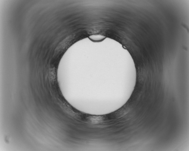 X0000102470085200808291614